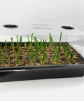 4 Pack Seed Starter Trays With 5 Inch Tall Humidity Domes For Strong Seedlings Reusable Germination Kit For Microgreens