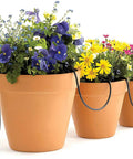 Terracotta pots with flowers and No Fuss Drip Watering System With Timer For Containers And Hanging Baskets, black tubing visible.