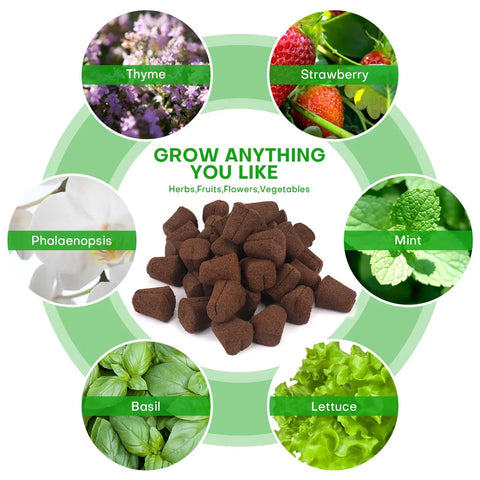 Pro Grade Grow Sponges Seed Starter Plugs for Cuttings in Soil or Trays and Planting Pods, 50 Pcs with herbs and flowers around.