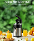 Ditch the Squeeze Work! This Electric Citrus Juicer Boasts A Powerful Motor And Two Interchangeable Cones for easy juicing.