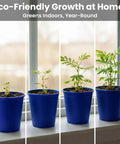 Deluxe Family Greenhouse Kit For Indoor Gardening Lovers Grow A Playful Touch Me Not Plant progression in blue pots on window.