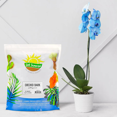 One Hundred Percent Organic Orchid Potting Bark Eight Quarts All Natural Pine Bark Mix Additive near blue orchid in pot