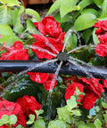 100 Pcs Adjustable Drip Irrigation Emitters Sprinklers For One Quarter Inch Barbed Hose watering flower bed