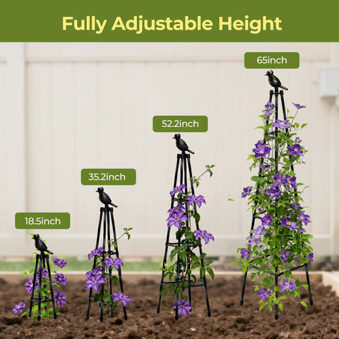 Four Two Pack Garden Trellis Obelisks For Climbing Plants at different heights, 65 inch tall, rustproof metal, in a garden bed