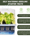Self Watering Seed Starter Kit With 120 Cell Tray And Humidity Domes featuring seedlings in clear trays with humidity vents.