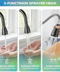 HURRAN Wall Mount Kitchen Faucet with Pull Down Sprayer, Matte Black Kitchen Sink Faucet, 8 Inch, showing 3-function sprayer head options.