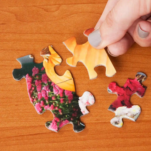Hand holding pieces of 300 Piece Hot Air Balloon Festival Puzzle For Adults By Michael David Ward on wooden table, colorful artwork.
