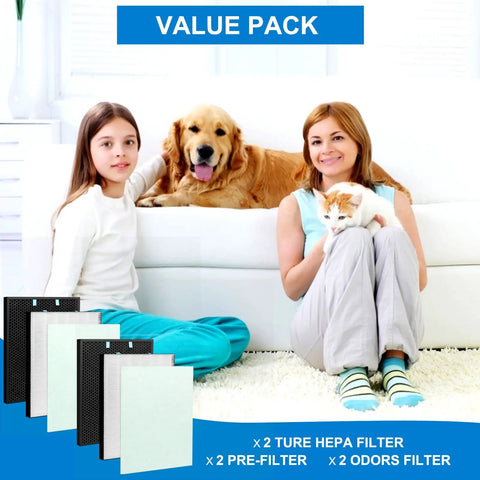 Air Purifier Replacement Filter Pack For Air400 True HEPA Filter Plus Activated Carbon Kit With Pre Filters Compatible With Air400 Three Stage Filtration System Includes 2521 True HEPA And 2520 Activated Carbon Easy Install, 2 HEPA and 2 pre-filters