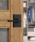 Dummy Door Lever For Closets And French Double Doors, Matte Black Non Turning Pull Handle With Reversible Interior Mount, No Latch