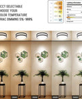 LED Double Ring Flush Mount Ceiling Light Twin Pack With 5CCT Selectable 2700K-5000K shown in different color temperatures