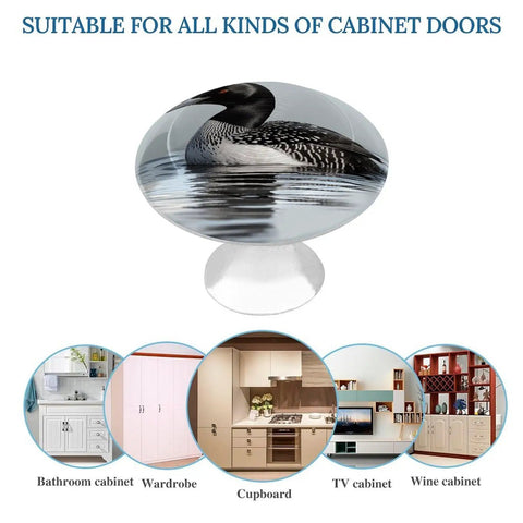 Loon Nature Bird Stainless Steel Cabinet Knob with brushed finish for versatile cabinet doors, 2 Pack.