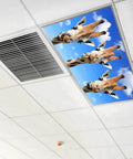 Funny Giraffe Heads Sky View Skylight Film Filter For Drop Ceiling Fluorescent Light 2x4 Feet, Flexible PET Light Diffuser