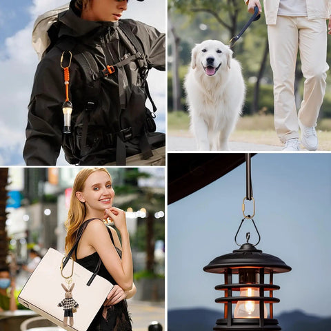 8 Pack Gold Carabiner Keychains With Brass Locking Clips And Screw Lock Key Rings in use on a backpack, dog leash, purse, and lantern