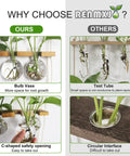 Comparison of wall hanging plant propagation station with 6 glass bulb vases and test tube design for hydroponics setup