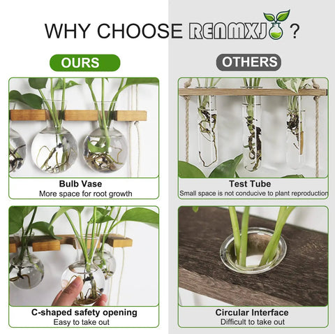Comparison of wall hanging plant propagation station with 6 glass bulb vases and test tube design for hydroponics setup