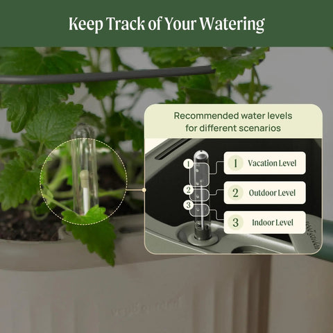 Water indicator on Indoor Garden Mini Planter With Trellis Self Watering System For Climbing Vegetables And Herbs Countertop Planter Box