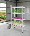 4 Tier Indoor And Outdoor Hydroponic Grow Rack With 12 Pipes And 108 Plant Sites in a greenhouse, featuring seedlings