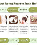 Step-by-step guide for Indoor Herb Garden Starter Kit With Wooden Box Planter Includes Basil Parsley Rosemary Thyme Mint Seeds Plus Coconut Soil Discs Five Burlap Bags Five Plant Markers Three Gardening Tools Pruning Scissors And Spray Bottle A Perfect Gift For Mom showing seed soaking, preparing, sowing, and growth process.
