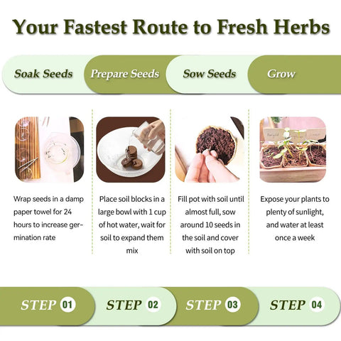 Step-by-step guide for Indoor Herb Garden Starter Kit With Wooden Box Planter Includes Basil Parsley Rosemary Thyme Mint Seeds Plus Coconut Soil Discs Five Burlap Bags Five Plant Markers Three Gardening Tools Pruning Scissors And Spray Bottle A Perfect Gift For Mom showing seed soaking, preparing, sowing, and growth process.