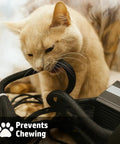 Cat chewing on Braided Split Sleeve Wire Loom For High Temperature Automotive Harness And Home Cable Management Durable PET Polyester Wrap Heat Resistant Easy Wrap Design 25 Feet Long And One Quarter Inch Diameter