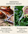 Herb Snipping Scissors For Gardeners, Lightweight Pruning Shears With Easy Lock, Fine Tipped Carbon Steel Blades, Cutting Herbs