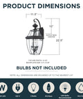 Dimensions diagram for Newbury 23 Inch Outdoor Wall Lantern, showing fixture width, height, and backplate size.