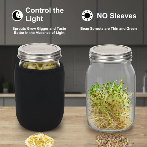 DIY Sprouting Kit For Home Garden With 2 Wide Mouth Quart Mason Jars, Stainless Steel Screen Sprout Lids on kitchen counter.
