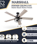 52 Inch Industrial Style LED Ceiling Fan With Light, pull chain, tri-mount, dual finish blades, reversible, black
