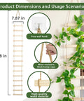 Extra Tall Six Foot Wooden Ladder Plant Trellis with climbing vines, dimensions 74.8x7.87 inches, hemp rope and hooks for support