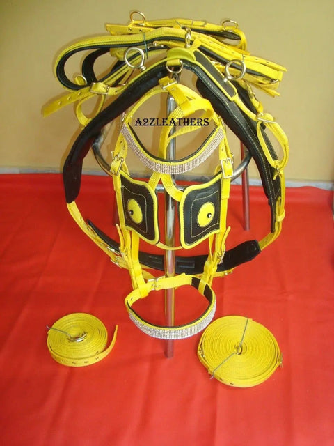 Yellow And Black Nylon Horse Driving Harness Full Size For Carriage And Training Durable Nylon Tack Set Lightweight Yet Strong