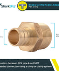 Three Quarter Inch Brass Crimp MNPT Male Adapter For PEX And PE-RT Pipes To FNPT Threaded Connections Copper Plumbing Fitting