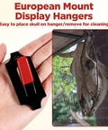 12 Pack European Deer Skull Mount Hangers Heavy Duty Iron Wall Brackets With Silicone Protector Dope Cinder Block Wall Hangers For Indoor Outdoor Decor 20 Lb Capacity Skull Hook Design, iron hanger with silicone pad and mounted deer skull
