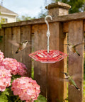 Two Pack Outdoor Hanging Hummingbird Feeders 16 Ounce Capacity With 30 Bee Proof And Leak Proof Feeding Ports Easy Clean Bird Feeder