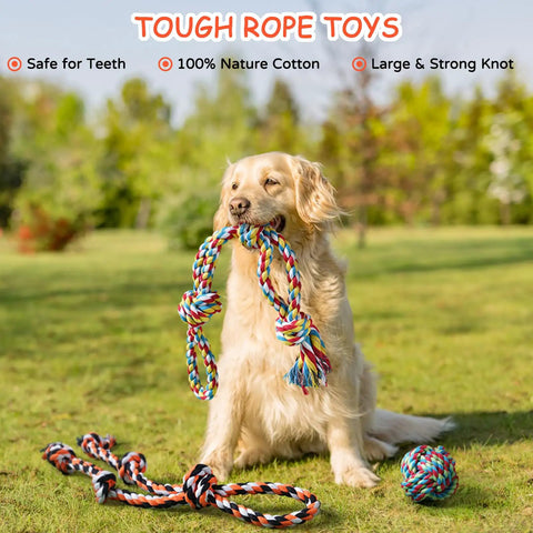 Golden retriever with Indestructible Dog Rope Toys For Aggressive Chewers Heavy Duty Tug Of War cotton rope in mouth