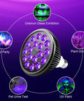 2 Pack 36W LED Black Light Bulbs E26 PAR38 Glow In The Dark UV 395nm displayed with multiple UV applications around.