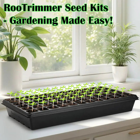 Heavy Duty Reusable Plastic Seed Starter Kit With 10 Sets Of 1020 Trays No Holes And 10 Packs Of 72 Cell Seed Starter Trays on windowsill.