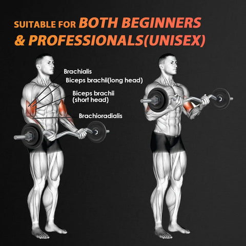 Diagram showing muscle engagement with 47 Inch EZ Curl Bar With Curved Shaft For Hip Thrusts Squats And Lunges 1 Inch Weight Plates Compatible.