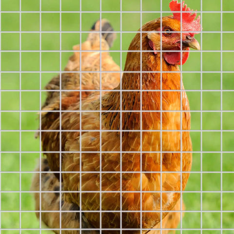 Two Sheets 1/4 Inch Welded Wire Mesh Roll 13.7 By 40 Inches Hardware Cloth Galvanized Cage Fence For Chicken Poultry Coop Rabbits Snakes Enclosures Beefy Heavy Duty Garden Craft Netting For DIY Projects