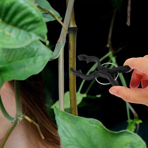 Durable Garden Plant Clips For Climbing Vines And Tomatoes Easy Trellis Support Clips For All Skill Levels No Fuss Versatile Plant Ties For Training Staking And Securing Tomato Vines And Garden Vines, black plastic clip on vine stem