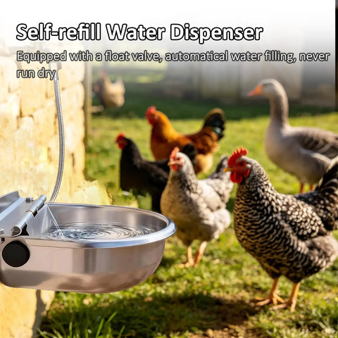 Heavy Duty Stainless Steel Water Dispenser For Dogs Cats And Poultry With Smart Float Valve Auto Refill keeps pets hydrated outdoors.