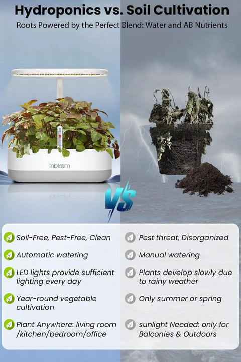 Comparison of 12 Pod Hydroponics Indoor Garden System With LED Grow Light and traditional soil cultivation.