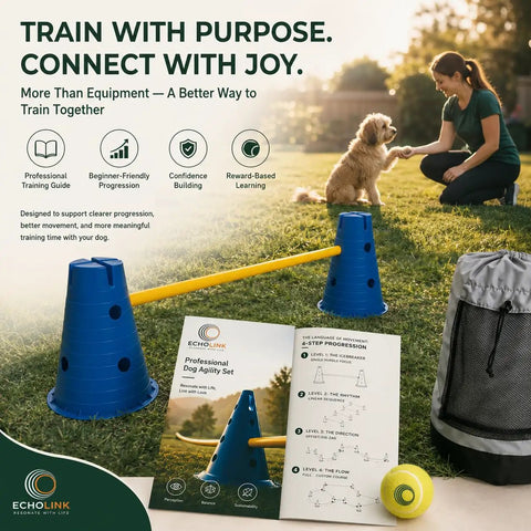 Dog Agility Hurdle Set 12 Inch Adjustable Jump Training for Backyard with cones, poles, training ball, carry bag in use