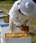 Beekeeper using Stainless Frame Lifter And Scraper J Hook Hive Tool on beehive, 11 inch durable stainless steel pry bar