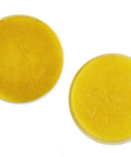 Top view of Precision Silicone Greasing Pad For Sealing Gaskets Tools No Mess Application With Built In Sponge Reservoir