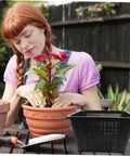 Hydroponic Net Pots And Mesh Grow Bags For Indoor Aquatic Plants, black plastic basket next to potted plant
