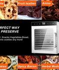 Heavy Duty 1000W Commercial Food Dehydrator With Ten Slick Stainless Trays Electric Jerky Dryer with fruits and snacks.