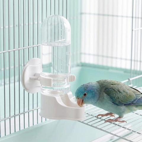 Hassle Free Automatic Bird Water Dispenser With Hanging Cage Mount For Parakeets Plus Small Flocks Featuring Leak Proof Self Refilling Trough And Zero Drama Leak Control In White Two Pack with parakeet drinking.