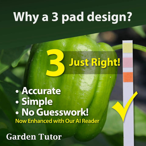 Green bell pepper with soil pH test strip and text about accurate AI web reader for pH checks in Soil pH Test Kit With 100 Strips.