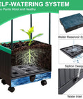 Raised Garden Bed With Self Watering Planter Box And Trellis For Climbing Plants Indoor Outdoor Yard Greenhouse Use Ideal