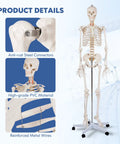 Life Size Human Skeleton Model, 70.8 Inches Tall with anti-rust steel connectors and high-grade PVC on rolling stand